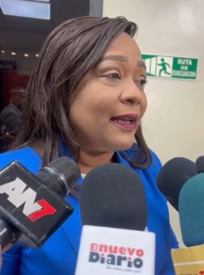 Aracelis-Villanueva-Foto-Fuente-El-Nuevo-Diario-297x400