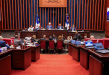 Senado aprueba proyecto para garantizar pasantías en el Estado: recibirían RD$10,000 al mes