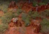 Tierras raras de Pedernales tendrían valor bruto de hasta US$45,000 millones