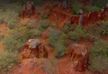 Tierras raras de Pedernales tendrían valor bruto de hasta US$45,000 millones