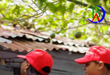 Siuben levantará información socioeconómica de unos 400 mil hogares con Inspire 2026